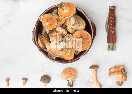 Différents champignons comestibles, vue du dessus sur du marbre Banque D'Images