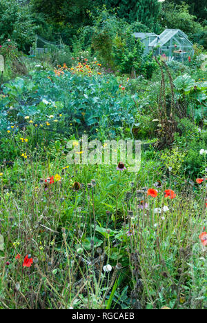 Un allotissement/ potager dans le soleil d'été avec un mélange de légumes et de fleurs. Banque D'Images