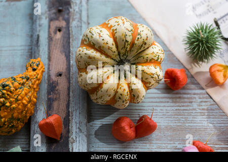 Décoration d'automne avec deux citrouilles ornementales et lanternes chinoises Banque D'Images