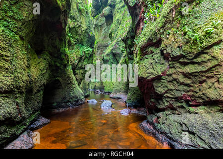 Grande Bretagne, Ecosse, Parc National des Trossachs, Finnich Glen Canyon, la chaire du diable, rivière Carnock brûler Banque D'Images