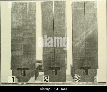 . Bulletin du Ministère de l'Agriculture des États-Unis. L'agriculture ; l'Agriculture. Bui. 101, U S. D'ept. de l'Agriculture. J'fljj : plaque VIII.] J : ;IIIJ|,v. (Ml h ; je Salut MiMM'i'V '' !Hi( iilllii 1 m1 film ImWji â 1 III : 1 B 11 M US 11 || ! Si MP 1 ! 1 ii ft 1 ! S ^â'Hll lti II 1 I - j i j l : 1 ; 1 â ||9 Hill j;i ; mHIH-vf^BBiWJ^J H* B  ^j r JK - SSPIHqs^^H UPS lBB^^^J P^yy ?'' : r*g Fig. .1 âPenetrations de pin des marais (Pinus palustris) bois de Cœur. 1, pièce n° 248 du traité 30 minutes ; 2, pièce n° 135, traité 60 minutes ; 3, pièce n° 242, traité 120 minutes.. Fig. 2.âPenetrations en Pin des marais Banque D'Images