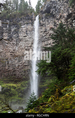 Watson falls off en cascade d'une falaise de basalte et dans une forêt luxuriante de l'Oregon. Banque D'Images