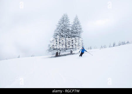 L'Autriche, l'état de Salzbourg, Groupe Osterhorn, skieur Banque D'Images