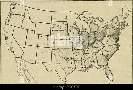 . Bulletin du Ministère de l'Agriculture des États-Unis. L'agriculture ; l'Agriculture. BULLETIN 1103, U.S. DEPARTMENT OF AGRICULTURE, a causé une perte considérable. Dans la région de la côte de la baie de San Francisco sur l'épi de maïs est devenu si grave qu'un parasite de la cultiver le maïs sucré a été abandonnée. L'une des caractéristiques les plus frappantes de cette année, le ver de l'éclosion était plutôt inhabituel le dommage causé à la luzerne, les rapports d'effets graves pour cette récolte ayant été reçue de l'Illinois,. Kansas et Kentucky. Dommage à la vesce a été rapporté de l'Alabama. Une autre caractéristique inhabituelle a été la grave dama Banque D'Images