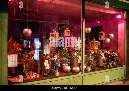 STRASBOURG, FRANCE - OCT 28, 2018 : Vue de côté fenêtre fleuriste boutique avec plusieurs vases et pots de fleurs Banque D'Images