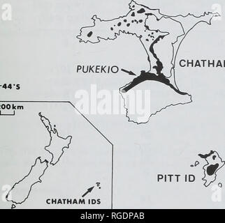 . Bulletin du Musée Histort naturelles. Série Géologie. Les bryozoaires DE CHATHAM ISLAND I I77W I76"W 10 KM I I ID CHATHAM -44-S. 300 km) Fig. 1 carte simplifiée des Îles Chatham avec la distribution de l'Kekerione Paleocene-Miocene (Groupe), qui comprend le tuf Red Bluff, marquée en noir (D'après un dessin de Campbell et al., 1993 ; fig. 4.35) et la localité de bryozoaires Pukekio a indiqué. Carte grande échelle montre la position des îles Chatham par rapport à la partie continentale de la Nouvelle-Zélande. (Campbell et al, 1993). Dans plusieurs localités (Waihere Bay sur l'île Pitt, Red Bluff et la côte au sud de Banque D'Images