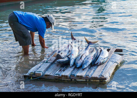 Retour à la pêche dans la baie de Mae Haad Beach sur Koh Tao, Thaïlande Banque D'Images