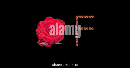 Fine art still life image couleur de la parole de construite à partir de lettres/fleur floral rose faite de macros des fleurs sur fond noir Banque D'Images