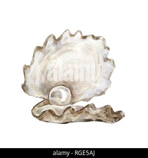Les coquillages blanc Illustrations. Conception navale. La main de l'aquarelle sur fond blanc. - Illustration Banque D'Images