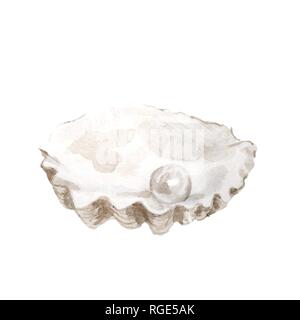 Les coquillages blanc Illustrations. Conception navale. La main de l'aquarelle sur fond blanc. - Illustration Banque D'Images