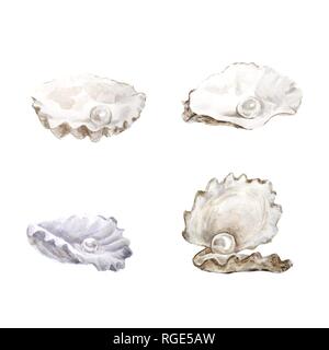 Les coquillages blanc Illustrations. Conception navale. La main de l'aquarelle sur fond blanc. - Illustration Banque D'Images