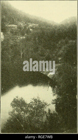 . Bulletin de la Société géologique d'Amérique. La géologie. BULL. GEOL.-SOC. Suis. VOL. 27, 1915, PL. 2£. COPPERAS POND, NEW YORK cinq milles et demi au sud de Clintonville. Vu de la rive sud-ouest. Plonger dans le bassin du lac de Wilmington channel. La tombe dans la forêt dans la moitié supérieure de la photographie. Photographie par EL L., 1915 en difficulté.. Veuillez noter que ces images sont extraites de la page numérisée des images qui peuvent avoir été retouchées numériquement pour plus de lisibilité - coloration et l'aspect de ces illustrations ne peut pas parfaitement ressembler à l'œuvre originale.. Société géologique Banque D'Images