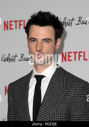 Hollywood, CA. 28 janvier, 2019. Tom Sturridge, au Velvet Buzzsaw première projection à l'Egyptian Theatre à Los Angeles, Californie le 28 janvier 2019. Credit : Faye Sadou/media/Alamy Punch Live News Banque D'Images