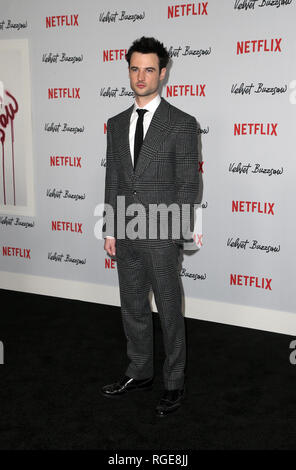 Hollywood, CA. 28 janvier, 2019. Tom Sturridge, au Velvet Buzzsaw première projection à l'Egyptian Theatre à Los Angeles, Californie le 28 janvier 2019. Credit : Faye Sadou/media/Alamy Punch Live News Banque D'Images