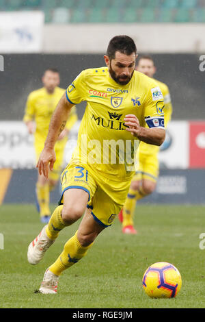 Foto Paola Garbuio/LaPresse 27 gennaio 2019 Verona, Italia sport calcio Chievo Vérone Fiorentina vs- Campionato di Calcio Serie A TIM 2018/2019 - stadio Bentegodi Nella foto : pellissier sergio Photo Paola Garbuio/LaPresse 27 janvier 2019 Vérone, Italie Sports Football Chievo Vérone vs Fiorentina - championnat de football italien une ligue 2018/2019 TIM - stadio Bentegodi. Dans le pic:pellissier sergio Banque D'Images