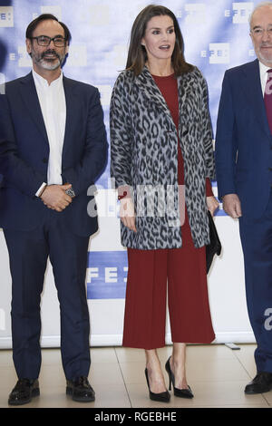 Madrid, Madrid, Espagne. 29 janvier, 2019. Reine Letizia d'Espagne assiste à une réunion ordinaire de l'Fundeu BBVA Conseil consultatif à l'EFE Bureaux régionaux Le 29 janvier 2019 à Madrid, Espagne Crédit : Jack Abuin/ZUMA/Alamy Fil Live News Banque D'Images