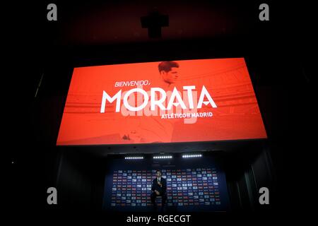 Madrid, Espagne. 29 janvier, 2019. Alvaro Morata lors de sa présentation en tant que nouveau joueur de l'Atletico Madrid, à Wanda Metropolitano Stadium à Madrid le 29 janvier 2019. (Photo de Guille Martinez/Cordon Press) Credit : CORDON PRESS/Alamy Live News Banque D'Images