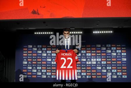 Madrid, Espagne. 29 janvier, 2019. Alvaro Morata lors de sa présentation en tant que nouveau joueur de l'Atletico Madrid, à Wanda Metropolitano Stadium à Madrid le 29 janvier 2019. (Photo de Guille Martinez/Cordon Press) Credit : CORDON PRESS/Alamy Live News Banque D'Images