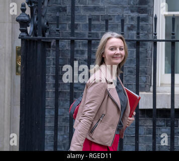 Londres, Royaume-Uni. 29 janvier, 2019. laisse une réunion du Cabinet au 10 Downing Street, London Credit Ian Davidson/Alamy Live News Banque D'Images