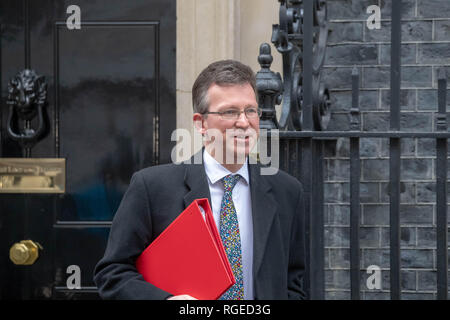 Londres, Royaume-Uni. 29 janvier, 2019. laisse une réunion du Cabinet au 10 Downing Street, London Credit Ian Davidson/Alamy Live News Banque D'Images