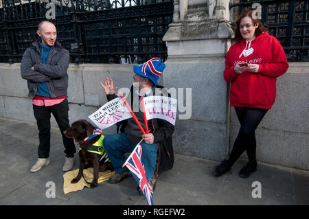 Westminster, Londres. Le 29 janvier 2019. Les manifestants, pour et contre l'extérieur, Brexit Chambres du Parlement que des amendements à l'accord de retrait sont d'un vote. Credit : Jenny Matthews/Alamy Live News Banque D'Images