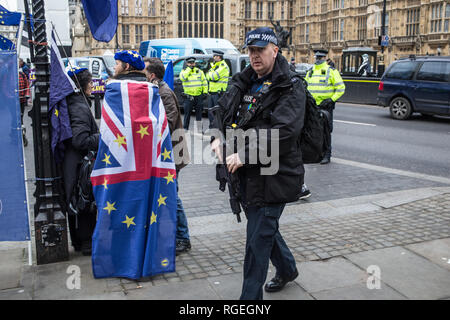 London UK 29 Janvier 2019 La Police armée homme marche au Brexit manifestants à l'extérieur de la Chambre du Parlement de Westminster le jour du vote des députés de l'UE sur l'accord de retrait des amendements. Credit : Thabo Jaiyesimi/Alamy Live News Banque D'Images