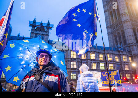 Londres, Royaume-Uni. 29 janvier, 2019. Quitter signifie quitter et SODEM, pro UE, les manifestants continuent à présenter leurs arguments, côte à côte, à l'extérieur du Parlement que le prochain vote sur Theresa May's plan est prévue ce soir. Crédit : Guy Bell/Alamy Live News Banque D'Images