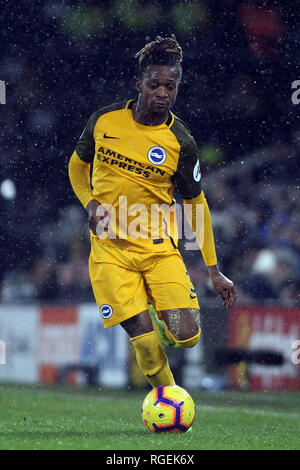 Londres, Royaume-Uni. 29 janvier, 2019. Gaëtan Bong de Brighton & Hove Albion dans l'action. Premier League, Fulham v Brighton & Hove Albion à Craven Cottage, à Londres, le mardi 29 janvier 2019. Cette image ne peut être utilisé qu'à des fins rédactionnelles. Usage éditorial uniquement, licence requise pour un usage commercial. Aucune utilisation de pari, de jeux ou d'un seul club/ligue/dvd publications. pic par Steffan Bowen/Andrew Orchard la photographie de sport/Alamy live news Banque D'Images