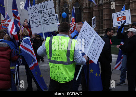 Londres, Royaume-Uni. 29 janvier, 2019. Un militant laisser promenades à travers la foule de manifestants et Brexiteers Brexit d'arrêt, d'une voix forte et deux conseils d'administration, en face du Parlement, London, UK. Crédit : Joe Keurig / Alamy Live News Banque D'Images