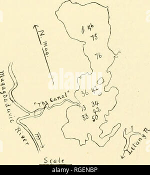 . Bulletin de la Société d'Histoire Naturelle du Nouveau-Brunswick. Le OUTLKT-DELTA DU LAC UTOPIA. 43 - 2. Le Outlet-Delta du lac Utopia. Lire Juin I3th ; re-written Décembre:i3nd, 189, paragraphe 5. Le lac Utopia est probablement la plus belle des JSTew^ lacs du Nouveau-Brunswick. Il possède plusieurs caractéristiques d'intérêt scientifique, et parmi eux l'un iiicli doivent être rares, nameh  % un delta à son embouchure. Je ne trouve aucune référence à ce delta dans l'un de nos rapports géologiques, et je ne me souviens avoir lu quelque chose de semblable ailleurs. Le lac se déverse dans la rivière Magaguadavic par un examen- fare, localement appelé &qu Banque D'Images