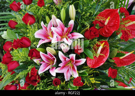 Close-up of pink liles de fleurs. Banque D'Images