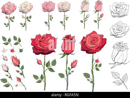 Ensemble d'éléments floraux. Rouge, rose, roses blanches. Objets isolé sur un fond blanc. Fichier EPS 10 Vector illustration Illustration de Vecteur