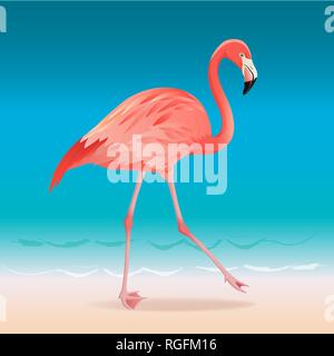 Flamant rose exotique la marche sur la plage de l'été. Illustration vecteur de flamants roses. Illustration de Vecteur