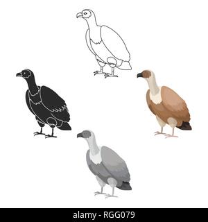 Animal,art,bec oiseau,caricature,griffe,coloration,design,dessin,plume,volant,pieds,graphique,hawk,,icône,illustration,logo,isolé,nature,page,chasse,proies,assis,queue,symbole vecteur,web,vautour,wild,la faune,AILE, vecteurs vecteur , Illustration de Vecteur
