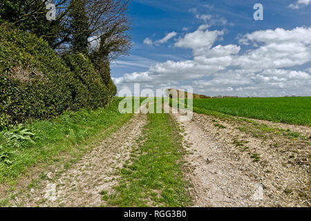 Plaine de Salisbury Wiltshire une zone de craie downland utilisés pour l'agriculture. Banque D'Images