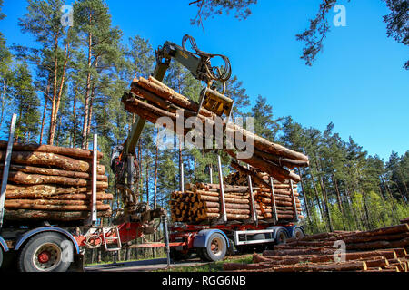 Grue en forêt chargement des grumes dans le camion. L'exploitation du bois et des transports en forêt. Transport de l'industrie d'exploitation forestière et de l'industrie forestière. Banque D'Images