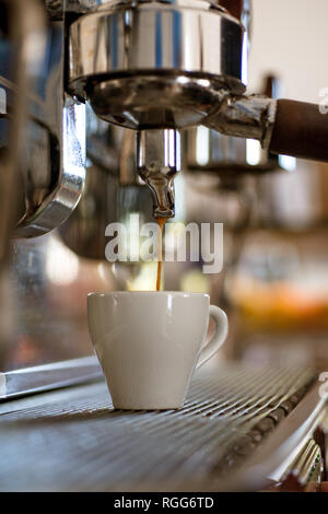 Toujours bon goût. Petite tasse de servir un café chaud, boire. Préparer le café avec une machine à expresso. L'espresso ou café brassé dans un café. Le café Banque D'Images