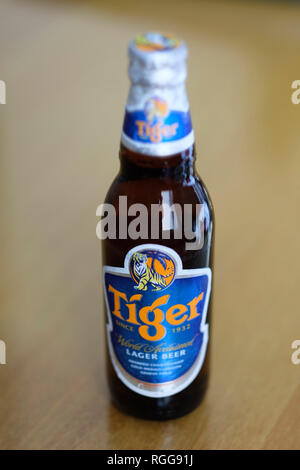 Tiger Beer bottle Banque D'Images