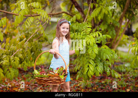 Préparation de l'enfant dans le panier de feuilles d'automne. Enfant jouant avec une feuille d'arbre. Les enfants jouent dans des pluie d'automne. Feuillage d'automne et d'amusement pour les enfants. Banque D'Images