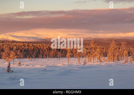 Paysage d'hiver avec vue sur la montagne en arrière-plan et nuages planent sur la montagne, Gällivare, en Laponie suédoise, Suède Banque D'Images