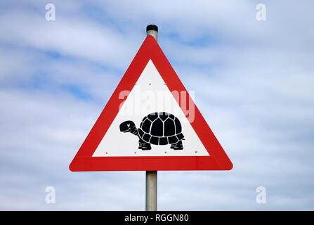 Road sign, Attention, les tortues qui traversent la route, Afrique du Sud Banque D'Images
