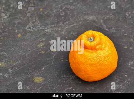 Agrumes mandarin géant Sumo fruits orange Banque D'Images