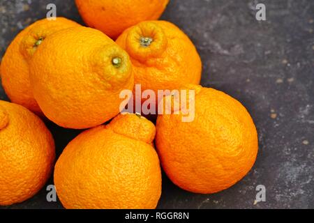 Agrumes mandarin géant Sumo fruits orange Banque D'Images