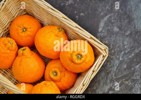 Agrumes mandarin géant Sumo fruits orange Banque D'Images