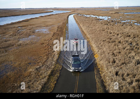 USA, Maryland, Cambridge, marée haute l'inondation par la montée des eaux à Blackwater National Wildlife Refuge Banque D'Images