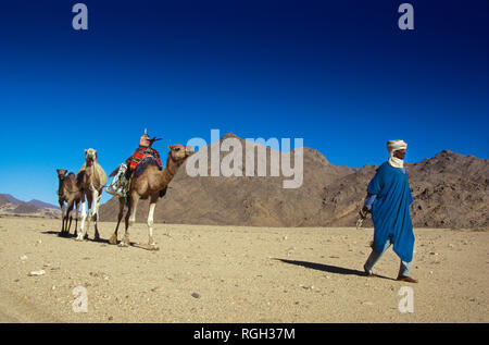 TIMIMOUN, ALGÉRIE - 18 janvier 2002 : pas de populations de la tribu Touareg avec leurs chameaux traverser le desert Acacus Banque D'Images