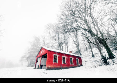 Grange rouge dans un paysage d'hiver brumeux avec barenaked arbres dans les temps de brouillard Banque D'Images