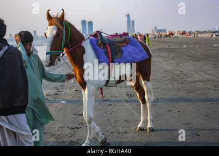 Un beau cheval avec son maître sur la mer à Clifton Beach Karachi Banque D'Images