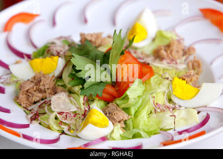 L'alimentation saine salade mixte avec des œufs et de thon Banque D'Images