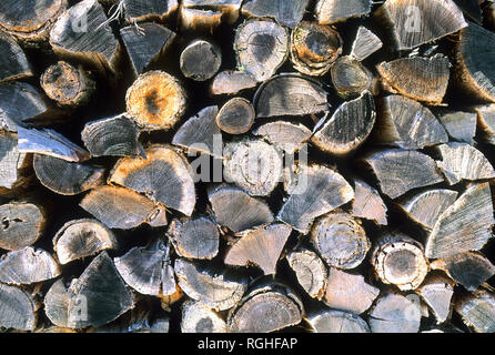 Bois de chauffage fendu, prêt pour la saison de chauffage hivernal en Nouvelle Angleterre, USA Banque D'Images